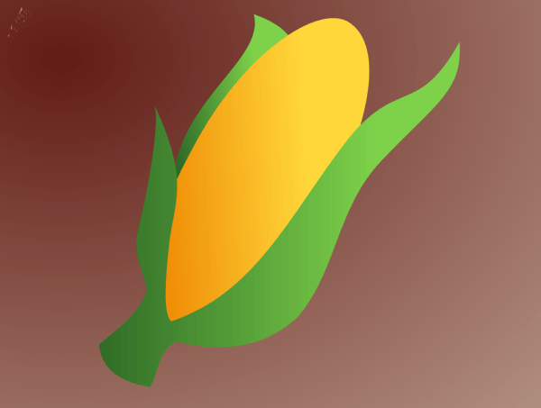 La mazorca del maíz
